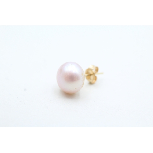 143 - 14ct gold cultured pearl stud earrings (2.2g)