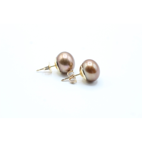 20 - 14ct gold brown cultured pearl stud earrings (3.8g)