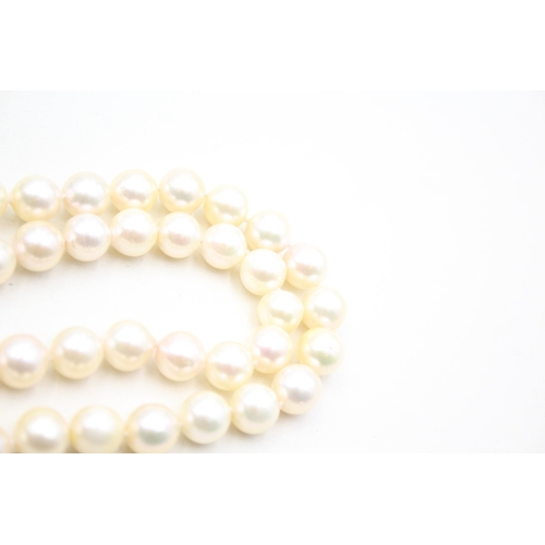 21 - 14ct gold cultured pearl necklace (59.5g)