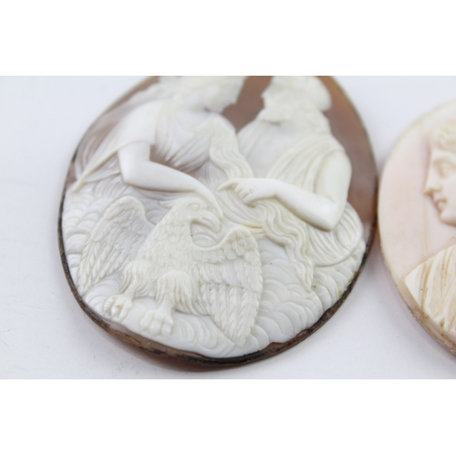 287 - Collection of Shell Cameo Panels inc. Roman, Zeus x 2 30g