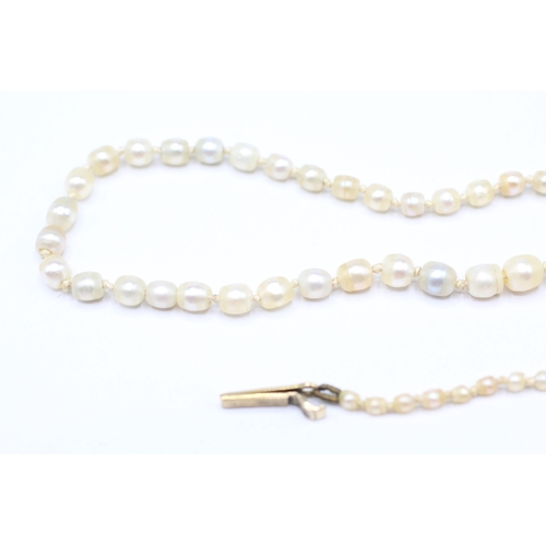 227 - 15ct gold antique pearl necklace (7.3g)