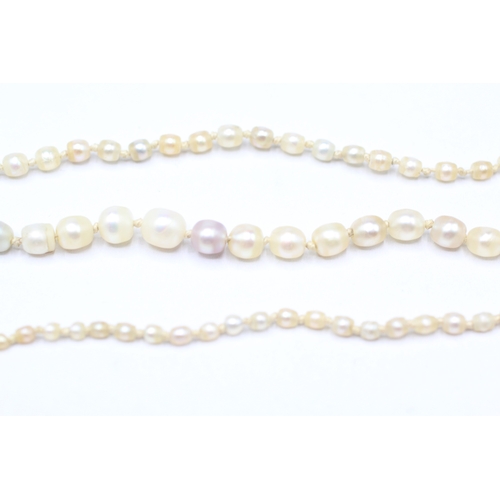 227 - 15ct gold antique pearl necklace (7.3g)