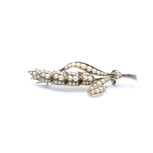 4 - 15ct gold antique seed pearl wheat brooch (6.3g)