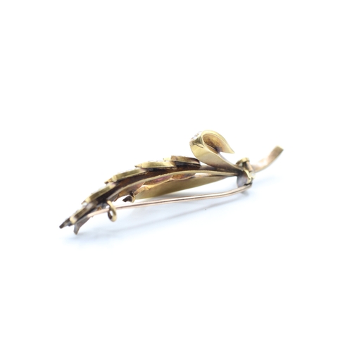 4 - 15ct gold antique seed pearl wheat brooch (6.3g)