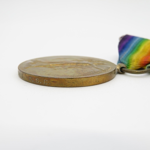 396 - WWI M.S.M and Medal Pair