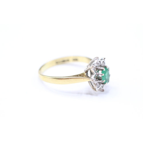 214 - 18ct gold emerald & diamond cluster ring (3.6g) Size M