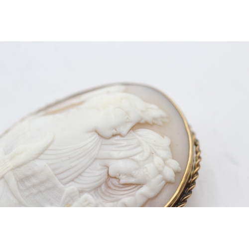 8 - 9ct gold shell cameo brooch (18.3g)