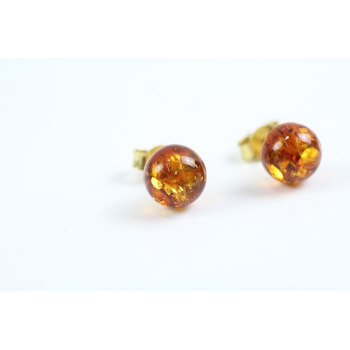 36 - 9ct gold amber stud earrings (1.1g)