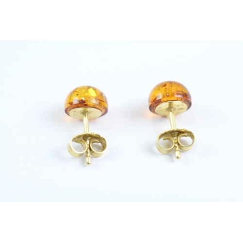 36 - 9ct gold amber stud earrings (1.1g)