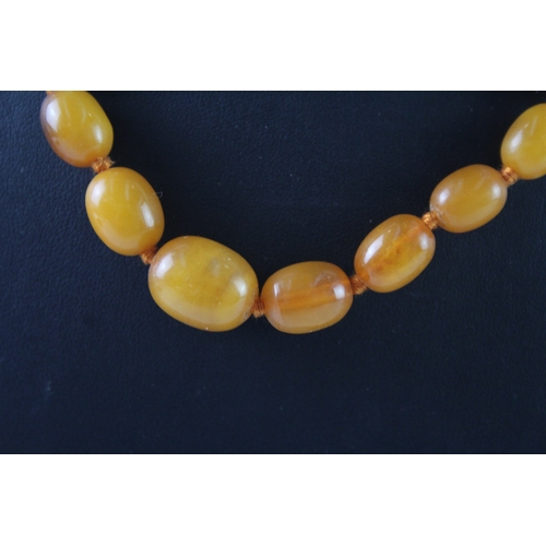 259 - Graduated Amber Necklace, Individually Knotted 15g