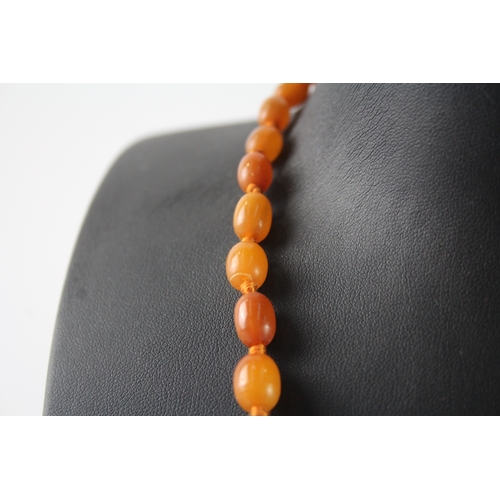 259 - Graduated Amber Necklace, Individually Knotted 15g