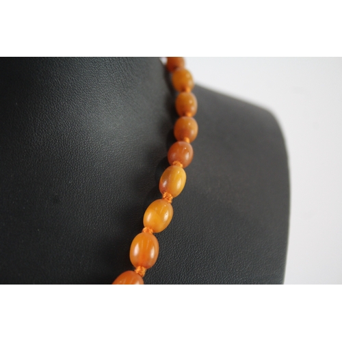 259 - Graduated Amber Necklace, Individually Knotted 15g