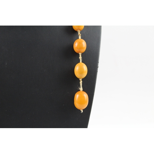 267 - Antique Eggyolk Amber Beaded Necklace 38g