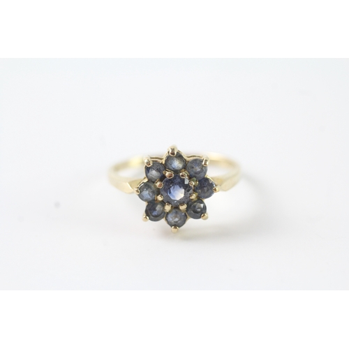 237 - 9ct gold sapphire cluster dress ring (2g) Size M