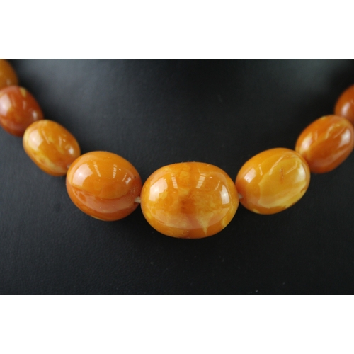 253 - Graduated Amber Beaded Necklace w/ Screw Clasp 37g