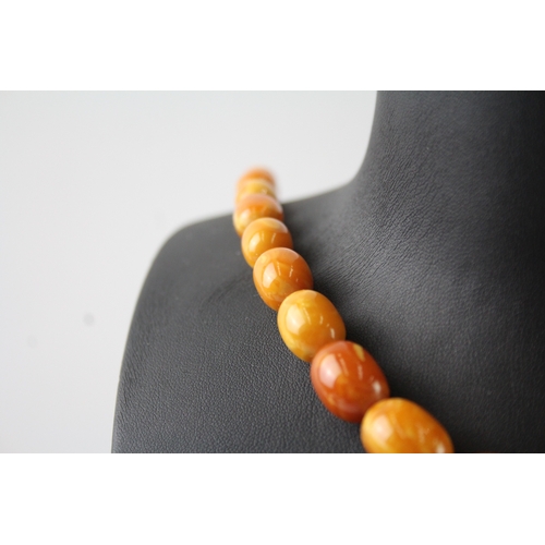 253 - Graduated Amber Beaded Necklace w/ Screw Clasp 37g