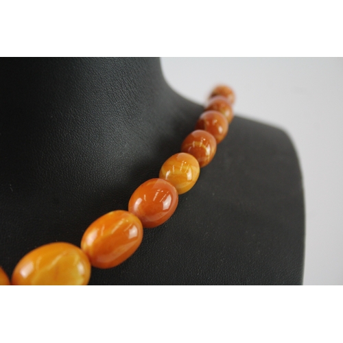 253 - Graduated Amber Beaded Necklace w/ Screw Clasp 37g