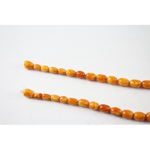 253 - Graduated Amber Beaded Necklace w/ Screw Clasp 37g