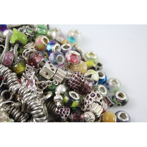 310 - Assortment of Fashion Jewellery inc. Charms, Necklaces, Bracelets 1017g