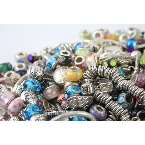 310 - Assortment of Fashion Jewellery inc. Charms, Necklaces, Bracelets 1017g