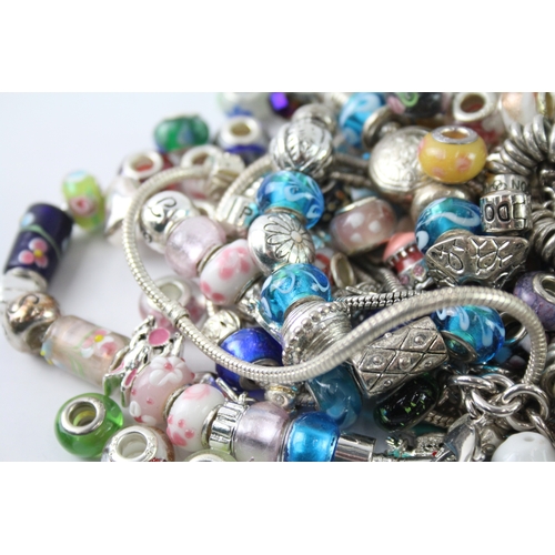 310 - Assortment of Fashion Jewellery inc. Charms, Necklaces, Bracelets 1017g