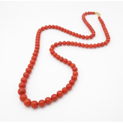 124 - 18ct gold clasped coral necklace (32.7g)