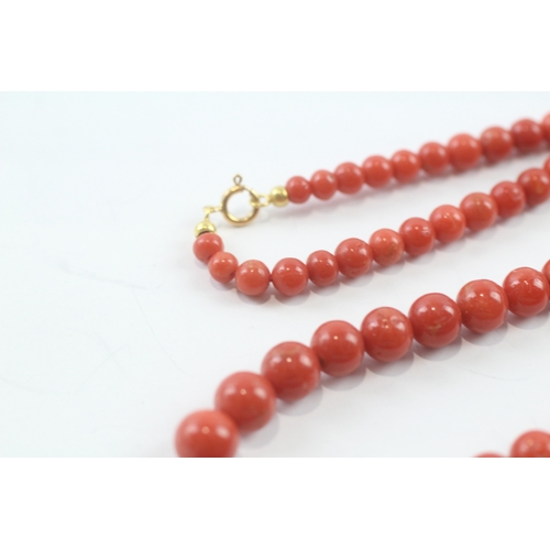 124 - 18ct gold clasped coral necklace (32.7g)