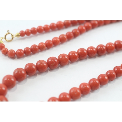 124 - 18ct gold clasped coral necklace (32.7g)