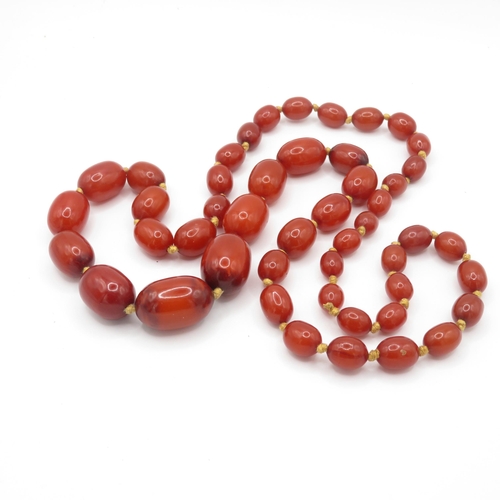 252 - Graduated Individually Knotted Bakelite Necklace w/ Internal Streaking 94.6g