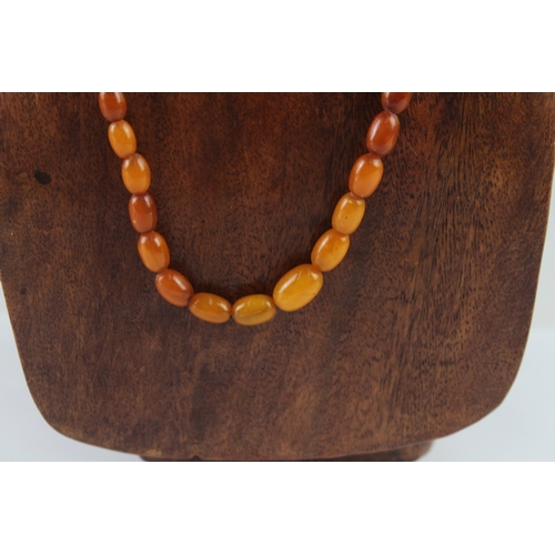 257 - Graduated Amber Beaded Necklace w/ Screw Clasp 17g