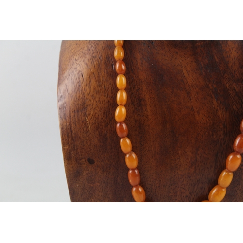 257 - Graduated Amber Beaded Necklace w/ Screw Clasp 17g