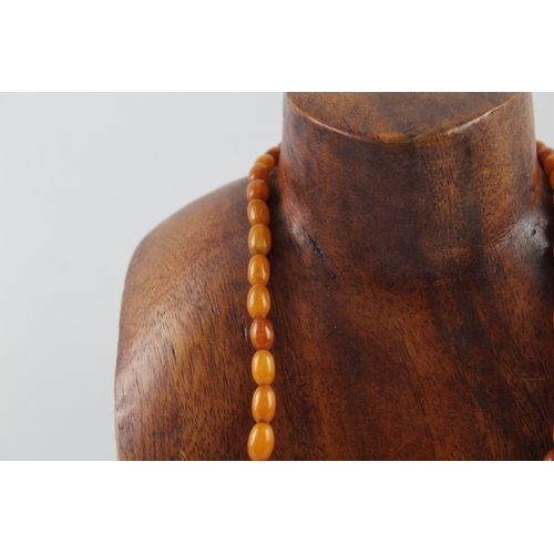 257 - Graduated Amber Beaded Necklace w/ Screw Clasp 17g