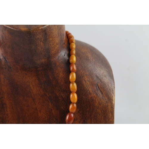 257 - Graduated Amber Beaded Necklace w/ Screw Clasp 17g