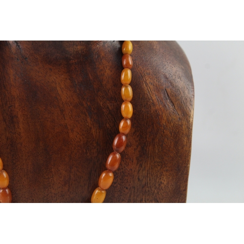 257 - Graduated Amber Beaded Necklace w/ Screw Clasp 17g