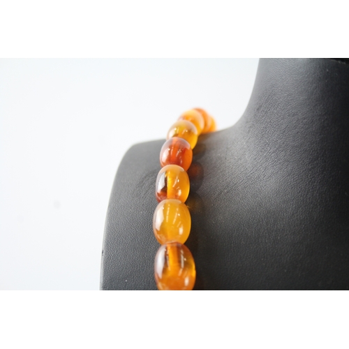 285 - Graduated Baltic Amber Beaded Necklace 65g