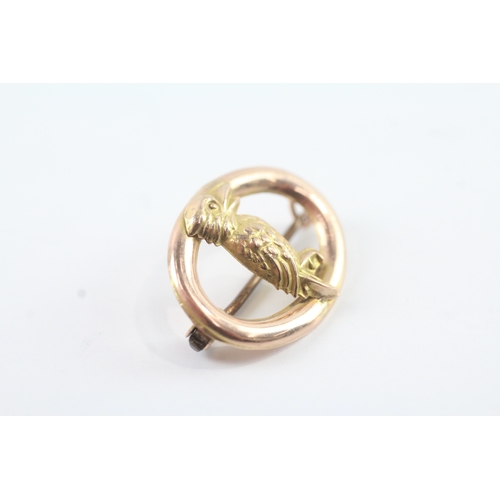 108 - 9ct gold Kookaburra brooch (1.3g)