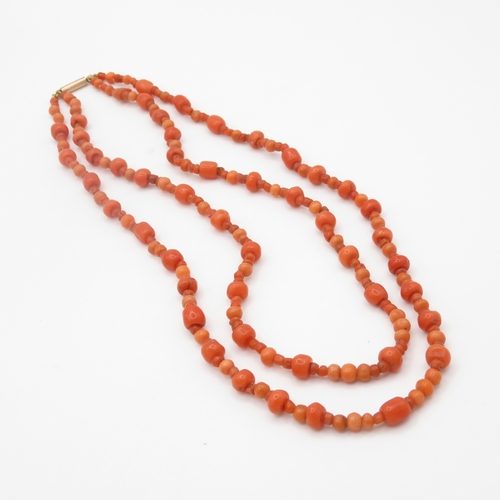 238 - 9ct gold coral double strand necklace (17.3g)