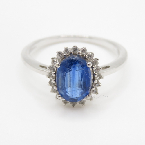 Lot 297       