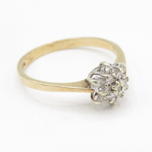 176 - 9ct gold diamond floral cluster ring (1.7g) size N