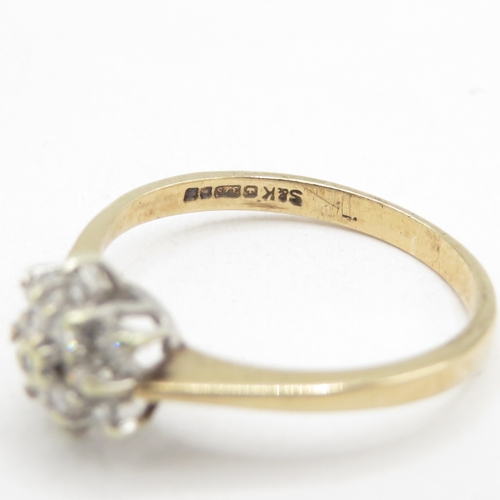 176 - 9ct gold diamond floral cluster ring (1.7g) size N