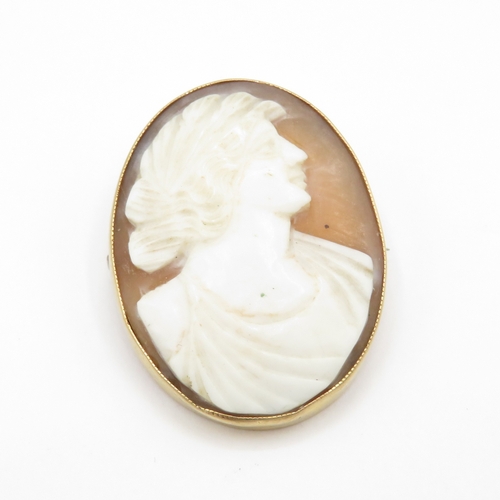 25 - 9ct gold cameo brooch (4.7g)