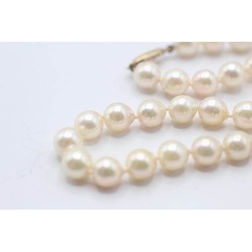 62 - 9ct gold cultured pearl necklace (29.7g)