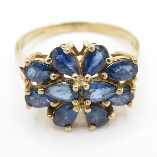193 - 9ct gold sapphire floral cluster ring (3.2g) Size P