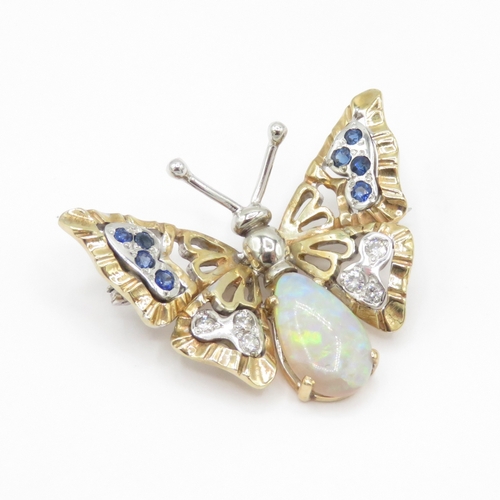 Lot 20        