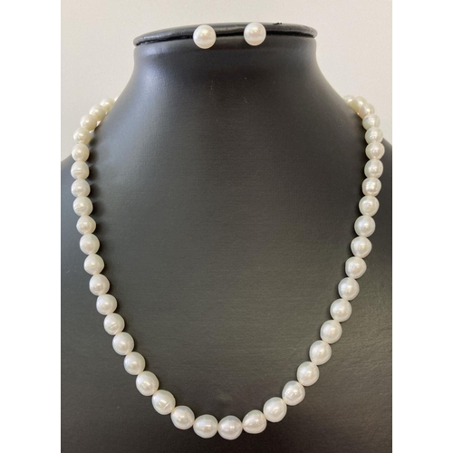 1054 - A freshwater white pearl necklace and matching stud earrings. Small extension chain to necklace, lob... 