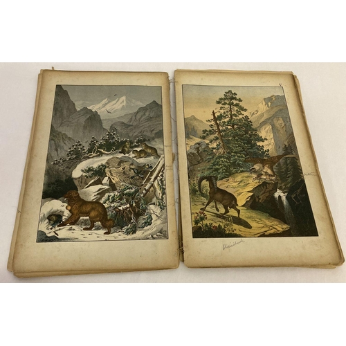 260 - Remnants of The Instructive Picture Book; pictures of Animal and Vegetable Life, 1872.  With many co... 