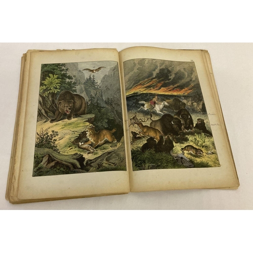 260 - Remnants of The Instructive Picture Book; pictures of Animal and Vegetable Life, 1872.  With many co... 