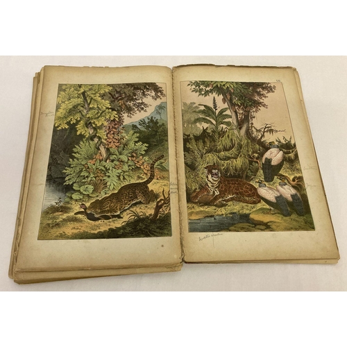 260 - Remnants of The Instructive Picture Book; pictures of Animal and Vegetable Life, 1872.  With many co... 