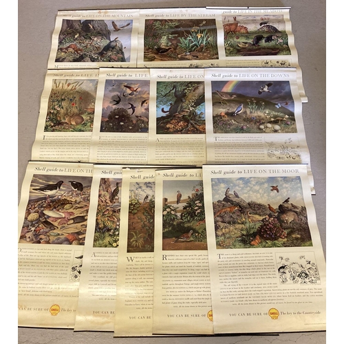 204 - A set of 12 vintage Shell nature & wildlife posters from the 