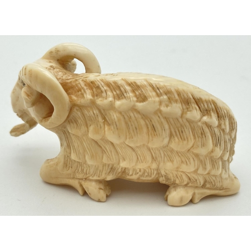 1333 - An Antique carved ivory figure of a long haired ram. Approx. 3.5 x 6cm.